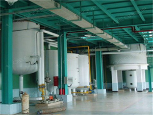 prensa de tornillo goyum - fabricante y proveedor de máquinas de procesamiento de aceite