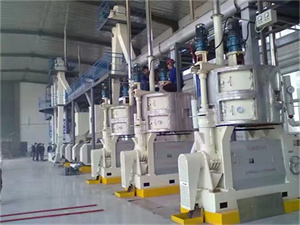 máquina prensadora de aceite en frío de españa a la venta en china